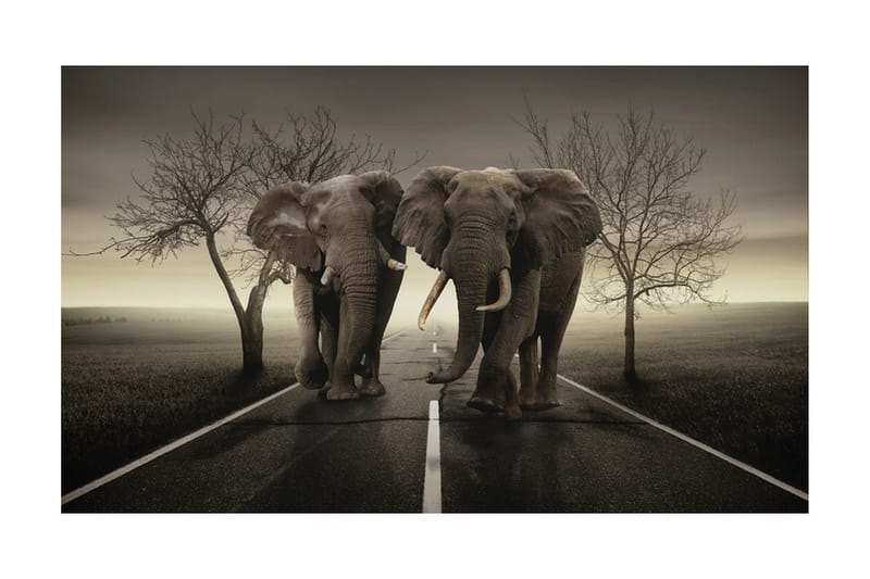 Fototapet City Of Elefanter 450x270 - Artgeist sp. z o. o. - Inredning & dekor - Väggdekor - Tapeter & tapettillbehör - Fototapeter