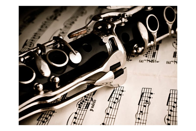 FOTOTAPET Clarinet And Music Notes 250x193 - Artgeist sp. z o. o. - Inredning & dekor - Väggdekor - Tapeter & tapettillbehör - Fototapeter
