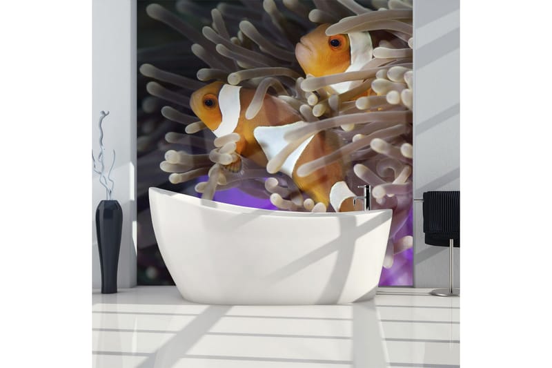 Fototapet Clownfish 300x231 - Artgeist sp. z o. o. - Inredning & dekor - Väggdekor - Tapeter & tapettillbehör - Fototapeter
