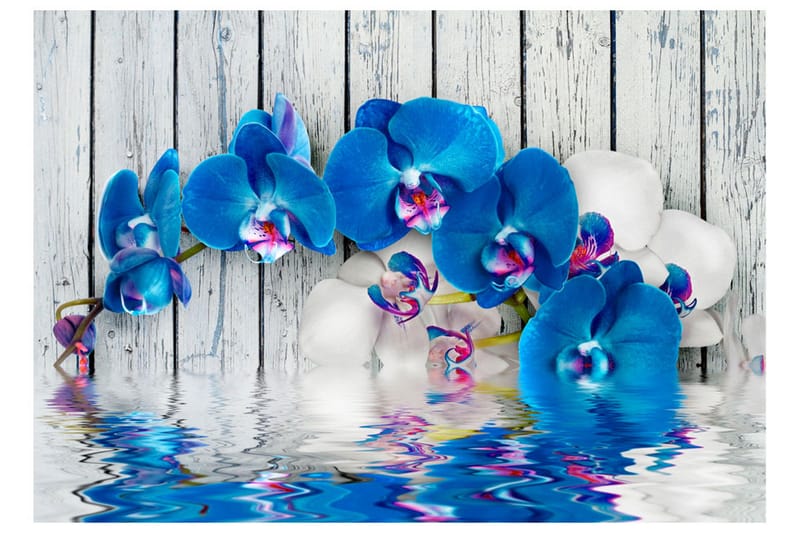 Fototapet Cobaltic Orchid 200x140 - Artgeist sp. z o. o. - Inredning & dekor - Väggdekor - Tapeter & tapettillbehör - Fototapeter