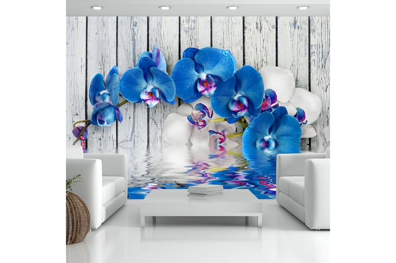 FOTOTAPET Cobaltic Orchid 250x175 - Artgeist sp. z o. o. - Inredning & dekor - Väggdekor - Tapeter & tapettillbehör - Fototapeter