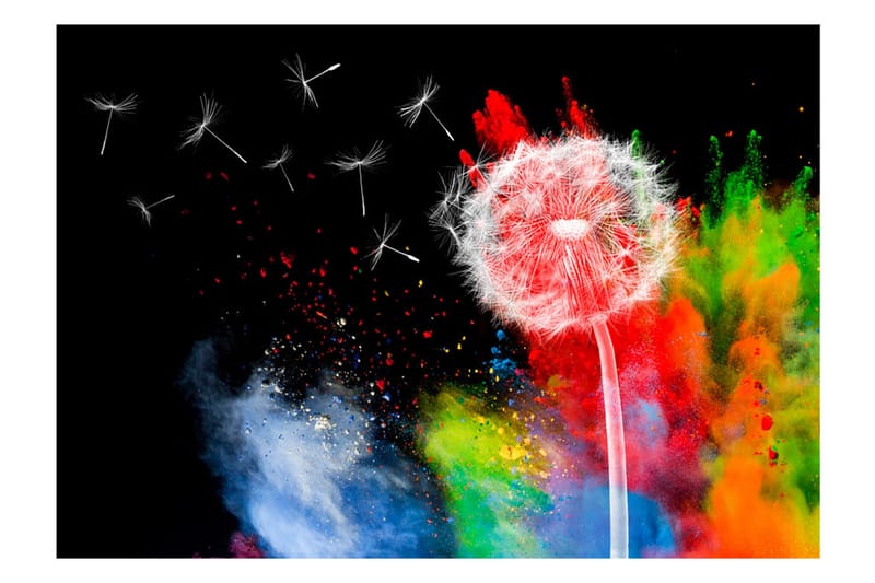 Fototapet Colourful Element 250x175 - Artgeist sp. z o. o. - Inredning & dekor - Väggdekor - Tapeter & tapettillbehör - Fototapeter