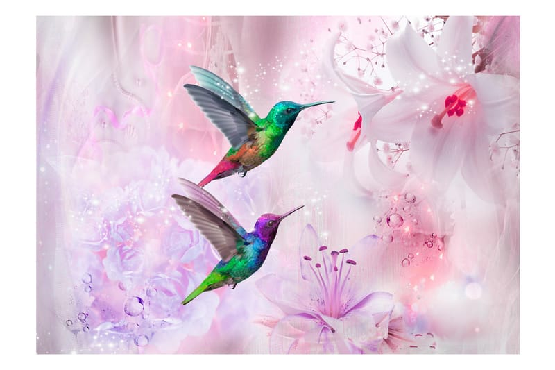 FOTOTAPET Colourful Hummingbirds Purple 150x105 - Artgeist sp. z o. o. - Fototapeter