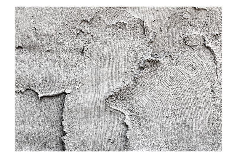 Fototapet Concrete Nothingness 250x175, Artgeist sp. z o. o.