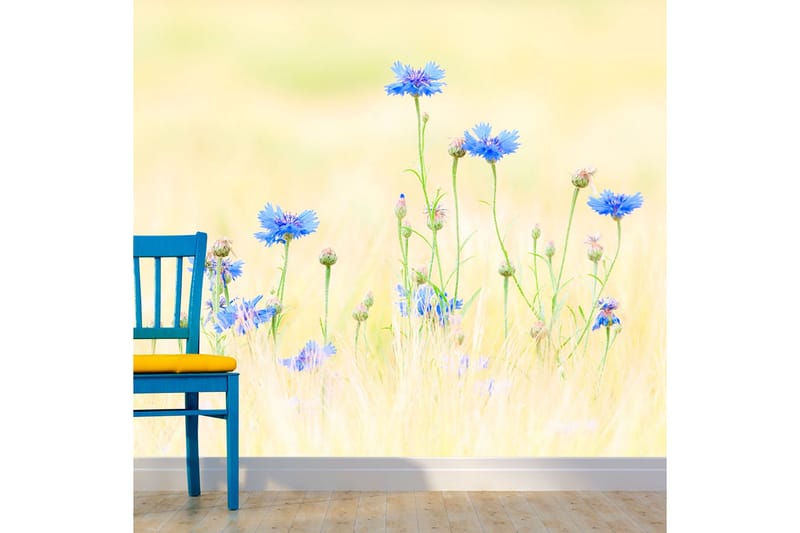 Fototapet Cornflowers 400x309, Artgeist sp. z o. o.