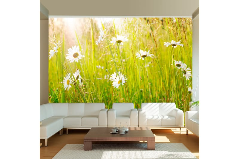 FOTOTAPET Daisy Field 200x154 - Artgeist sp. z o. o. - Inredning & dekor - Väggdekor - Tapeter & tapettillbehör - Fototapeter