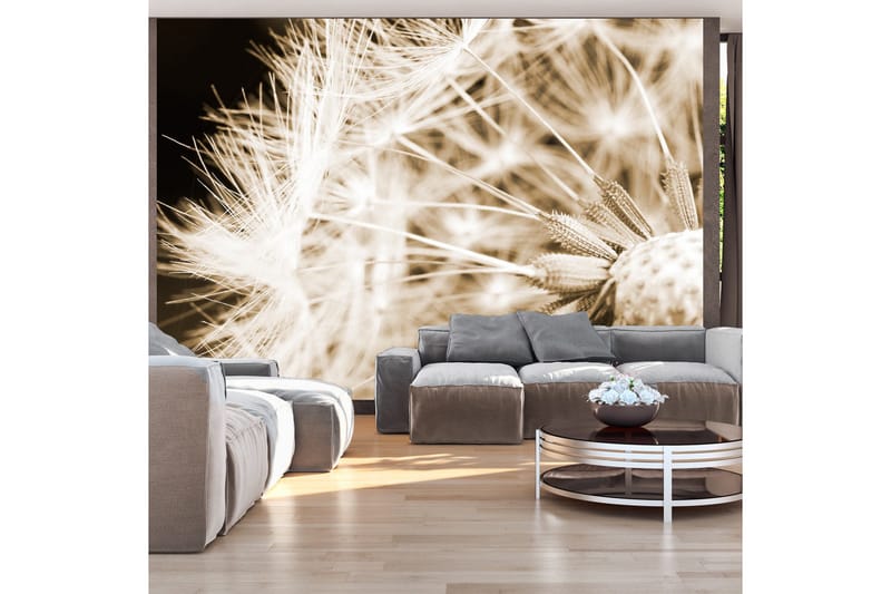 Fototapet Dandelion Sepia 200x140, Artgeist sp. z o. o.