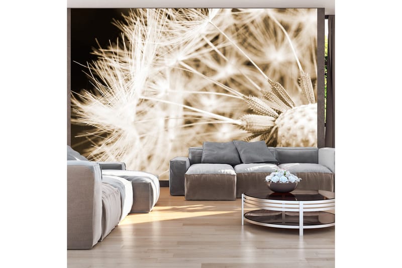 FOTOTAPET Dandelion Sepia 400x280 - Artgeist sp. z o. o. - Inredning & dekor - Väggdekor - Tapeter & tapettillbehör - Fototapeter