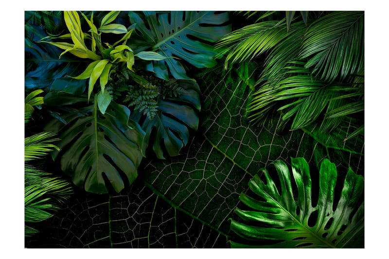 FOTOTAPET Dark Jungle 200x140 - Artgeist sp. z o. o. - Inredning & dekor - Väggdekor - Tapeter & tapettillbehör - Fototapeter