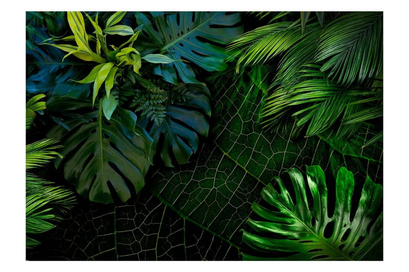Fototapet Dark Jungle 350x245, Artgeist sp. z o. o.