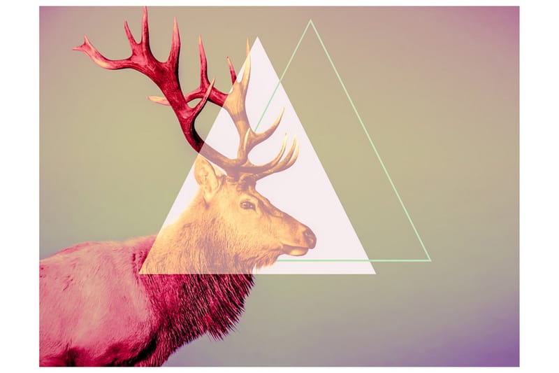 FOTOTAPET Deer Graphic Pattern 200x154 - Artgeist sp. z o. o. - Inredning & dekor - Väggdekor - Tapeter & tapettillbehör - Fototapeter