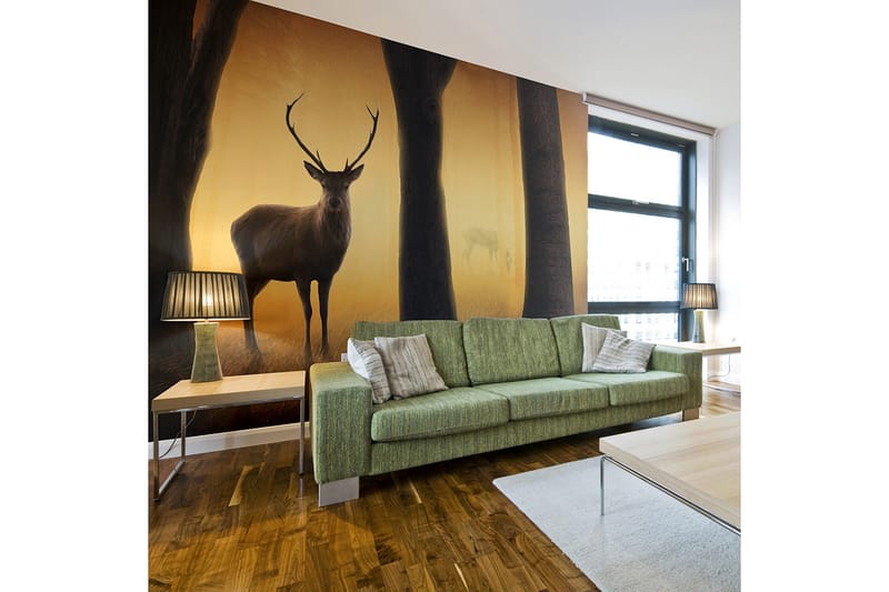 Fototapet Deer In His Natural Habitat 200x154, Artgeist sp. z o. o.