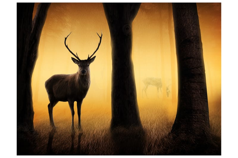 FOTOTAPET Deer In His Natural Habitat 200x154 - Artgeist sp. z o. o. - Inredning & dekor - Väggdekor - Tapeter & tapettillbehör - Fototapeter