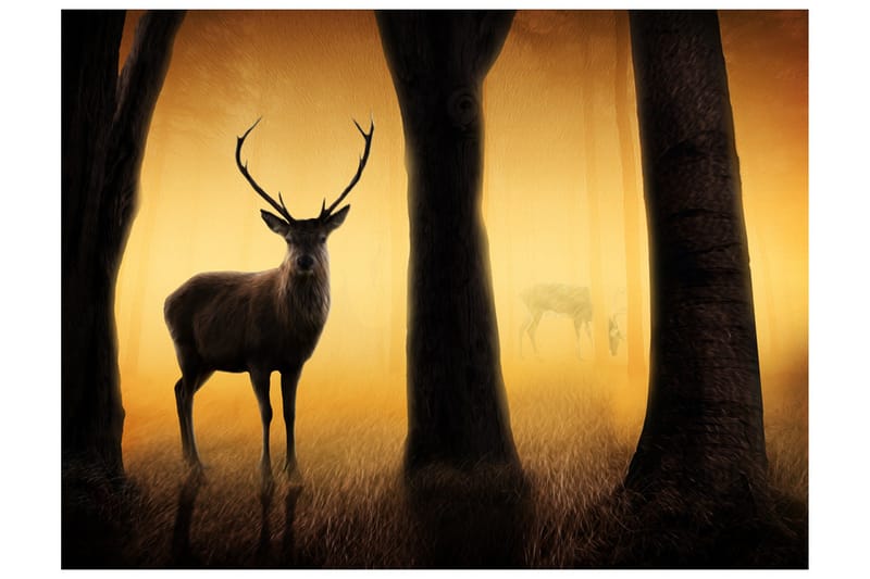 Fototapet Deer In His Natural Habitat 250x193 - Artgeist sp. z o. o. - Inredning & dekor - Väggdekor - Tapeter & tapettillbehör - Fototapeter