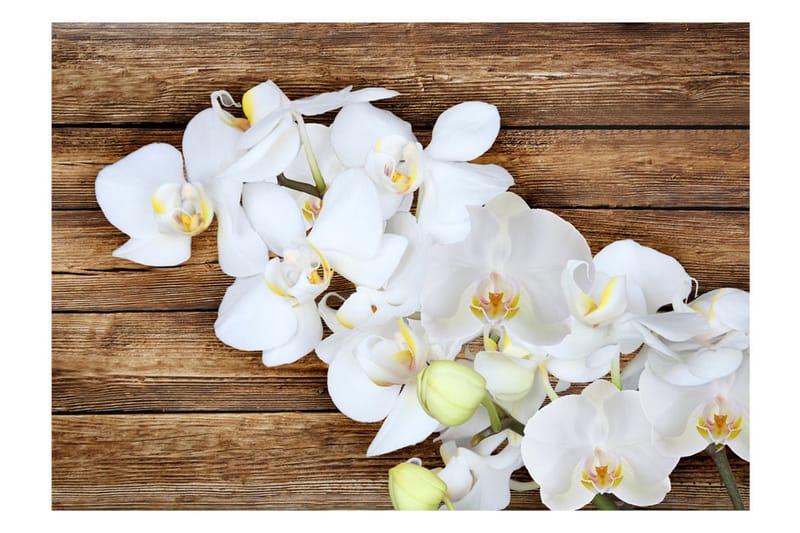 Fototapet Delicacy On Wood 250x175 - Artgeist sp. z o. o. - Inredning & dekor - Väggdekor - Tapeter & tapettillbehör - Fototapeter