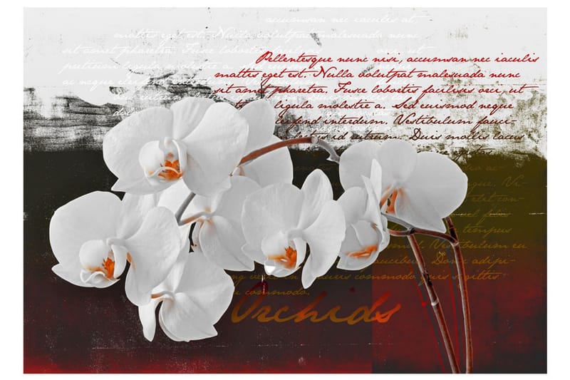 Fototapet Diary And Orchid 400x280 - Artgeist sp. z o. o. - Inredning & dekor - Väggdekor - Tapeter & tapettillbehör - Fototapeter
