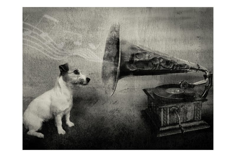 FOTOTAPET Dog's Melodies 200x154 - Artgeist sp. z o. o. - Inredning & dekor - Väggdekor - Tapeter & tapettillbehör - Fototapeter