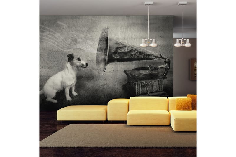 FOTOTAPET Dog's Melodies 350x270 - Artgeist sp. z o. o. - Inredning & dekor - Väggdekor - Tapeter & tapettillbehör - Fototapeter