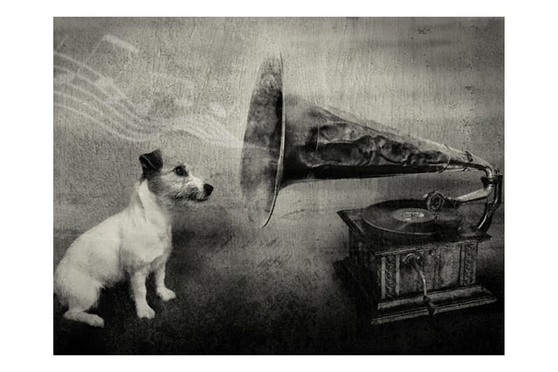 Fototapet Dog's Melodies 400x309 - Artgeist sp. z o. o. - Inredning & dekor - Väggdekor - Tapeter & tapettillbehör - Fototapeter