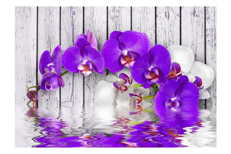 Fototapet Dormant Instincts 150x105 - Artgeist sp. z o. o. - Inredning & dekor - Väggdekor - Tapeter & tapettillbehör - Fototapeter