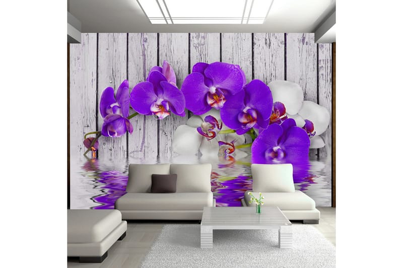 FOTOTAPET Dormant Instincts 300x210, Artgeist sp. z o. o.