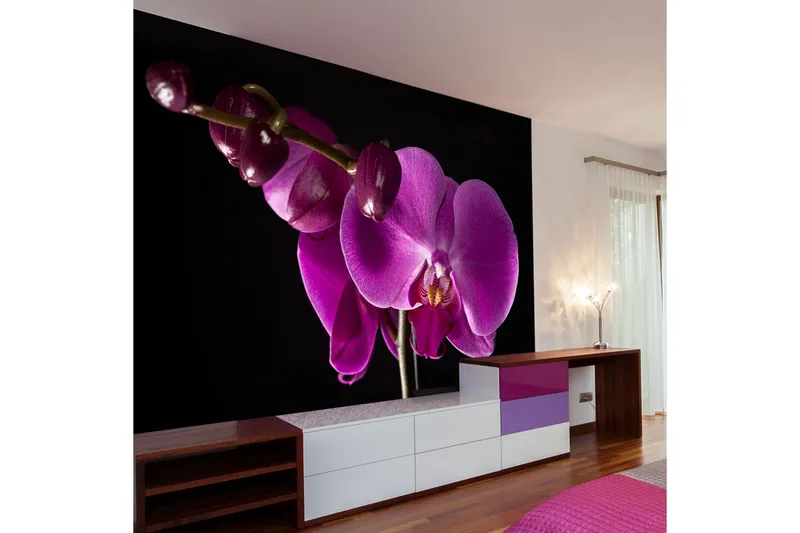 Fototapet Elegant Orchids 350x270, Artgeist sp. z o. o.