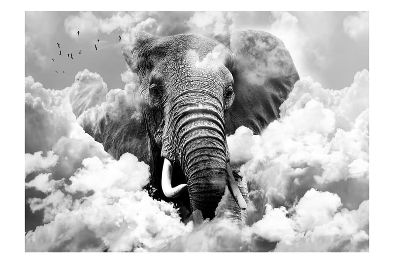 FOTOTAPET Elephant In The Clouds Black And White 100x70 - Artgeist sp. z o. o. - Inredning & dekor - Väggdekor - Tapeter & tapettillbehör - Fototapeter