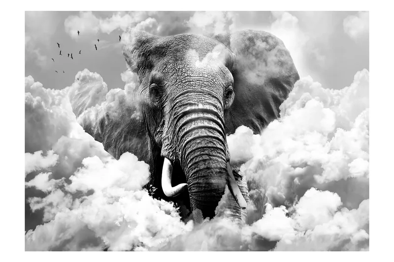 Fototapet Elephant In The Clouds Black And White 100x70, Artgeist sp. z o. o.
