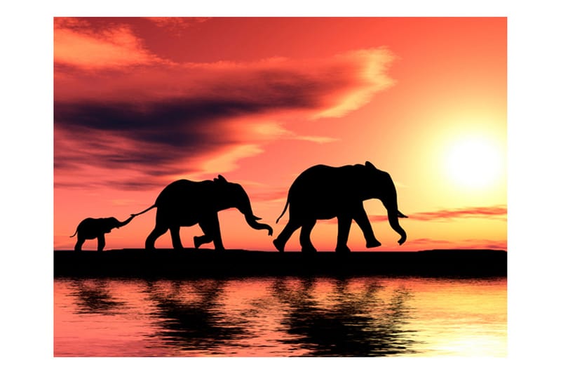 FOTOTAPET Elephants Family 350x270 - Artgeist sp. z o. o. - Inredning & dekor - Väggdekor - Tapeter & tapettillbehör - Fototapeter