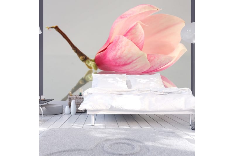 Fototapet En Ensam Magnolia Blomma 250x193, Artgeist sp. z o. o.