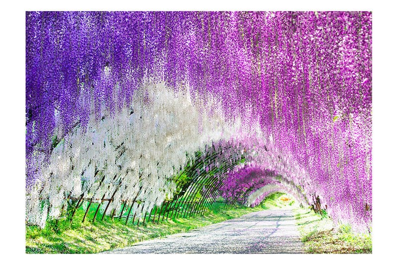 FOTOTAPET Enchanted Garden 400x280 - Artgeist sp. z o. o. - Inredning & dekor - Väggdekor - Tapeter & tapettillbehör - Fototapeter
