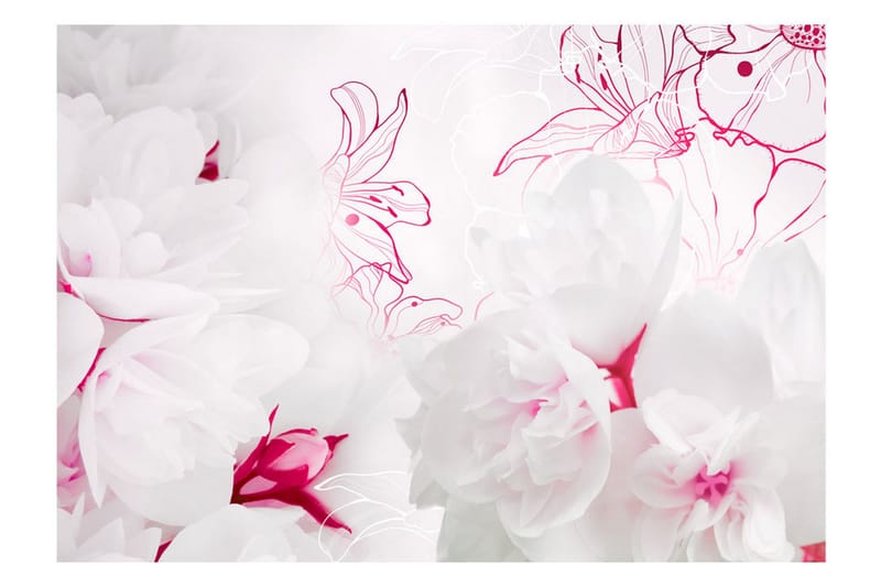 Fototapet Enveloped In White 250x175 - Artgeist sp. z o. o. - Inredning & dekor - Väggdekor - Tapeter & tapettillbehör - Fototapeter