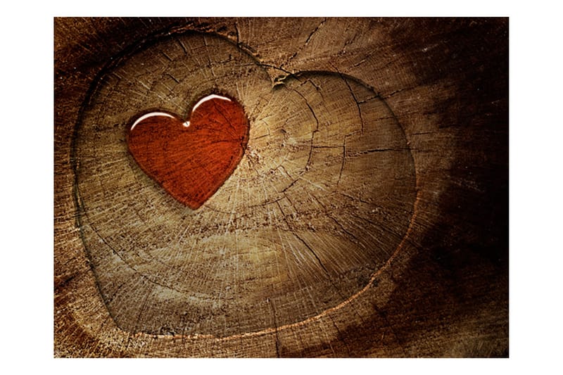 FOTOTAPET Eternal Love 300x231 - Artgeist sp. z o. o. - Inredning & dekor - Väggdekor - Tapeter & tapettillbehör - Fototapeter
