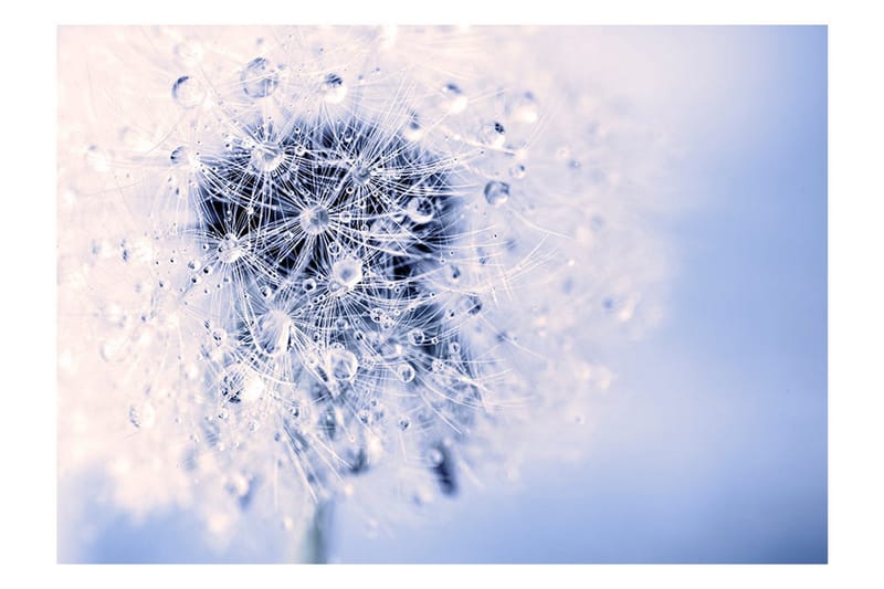 Fototapet Etheric Morning 100x70 - Artgeist sp. z o. o. - Inredning & dekor - Väggdekor - Tapeter & tapettillbehör - Fototapeter