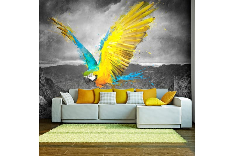 Fototapet Exotic Parrot 300x231, Artgeist sp. z o. o.