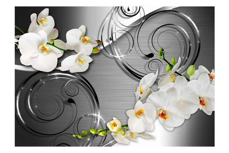 FOTOTAPET Expectation 400x280 - Artgeist sp. z o. o. - Inredning & dekor - Väggdekor - Tapeter & tapettillbehör - Fototapeter