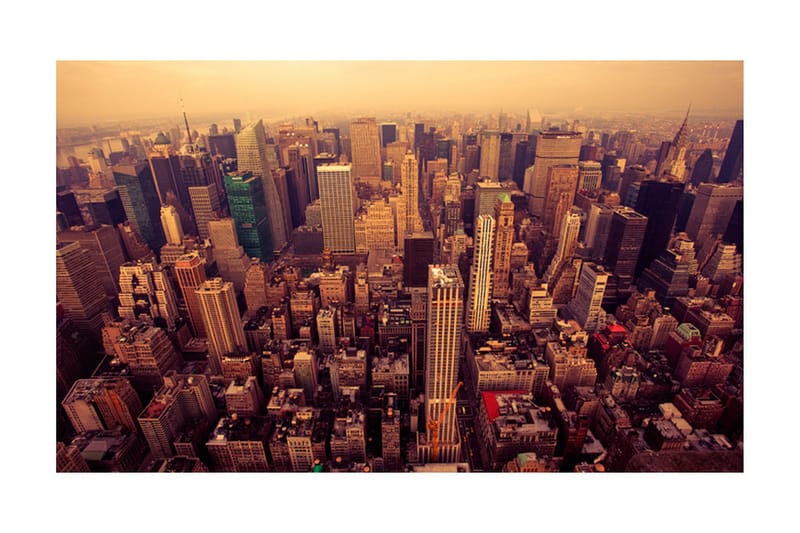 FOTOTAPET Fågeln Beskådar Manhattan New York 450x270 - Artgeist sp. z o. o. - Inredning & dekor - Väggdekor - Tapeter & tapettillbehör - Fototapeter