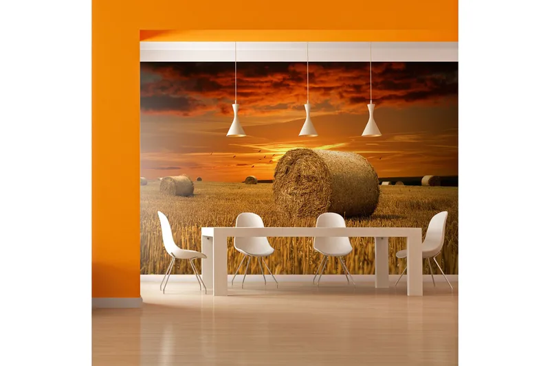 Fototapet Fält Av Guld 250x193 - Artgeist sp. z o. o. - Inredning & dekor - Väggdekor - Tapeter & tapettillbehör - Fototapeter