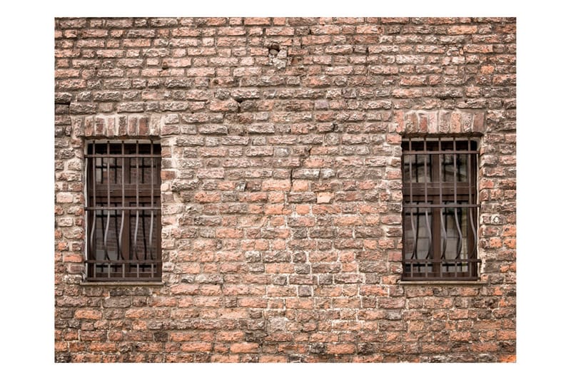 FOTOTAPET Fångad Verkligheten 250x193, Artgeist sp. z o. o.