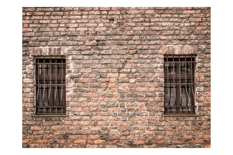 FOTOTAPET Fångad Verkligheten 400x309, Artgeist sp. z o. o.