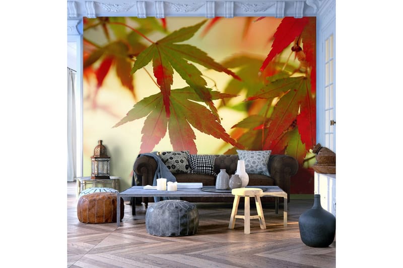 Fototapet Färgglada Blad 200x154 - Artgeist sp. z o. o. - Inredning & dekor - Väggdekor - Tapeter & tapettillbehör - Fototapeter