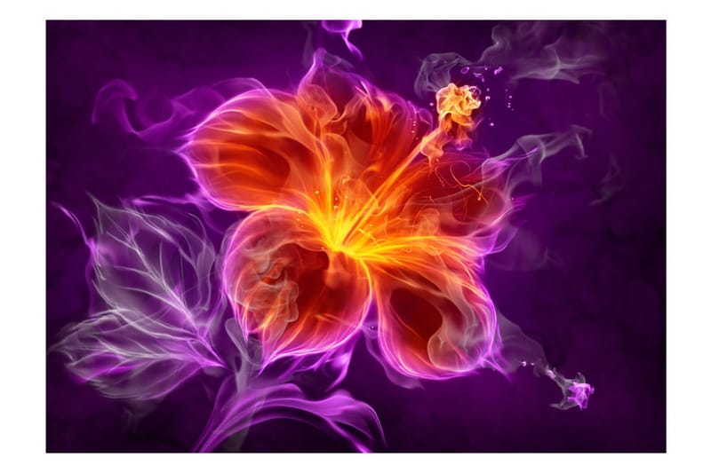 FOTOTAPET Fiery Flower In Purple 150x105 - Artgeist sp. z o. o. - Fototapeter