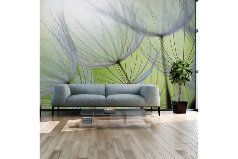 FOTOTAPET Fleeting Moments 150x105, Artgeist sp. z o. o.