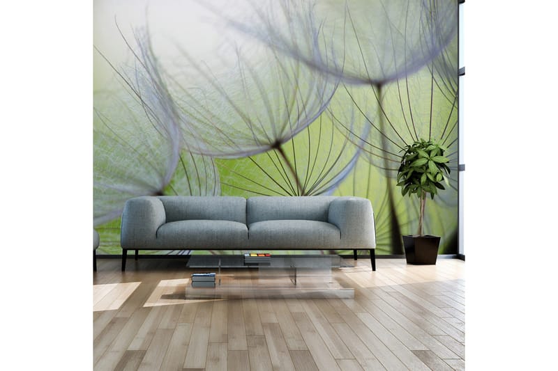 Fototapet Fleeting Moments 300x210, Artgeist sp. z o. o.