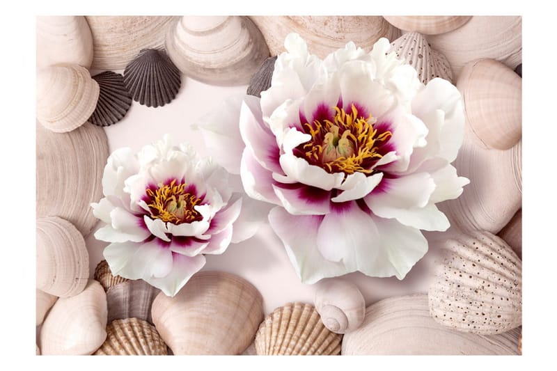 Fototapet Flowers And Shells 150x105 - Artgeist sp. z o. o. - Inredning & dekor - Väggdekor - Tapeter & tapettillbehör - Fototapeter