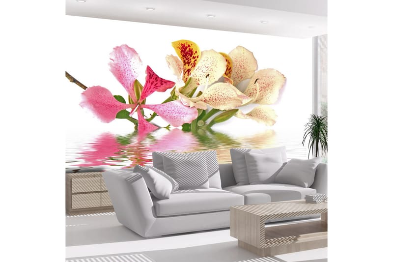 Fototapet Flowers Orchid Tree Bauhinia 350x270 - Artgeist sp. z o. o. - Inredning & dekor - Väggdekor - Tapeter & tapettillbehör - Fototapeter