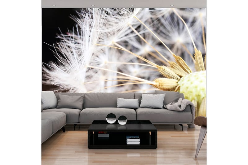 Fototapet Fluffy Dandelion 300x210, Artgeist sp. z o. o.