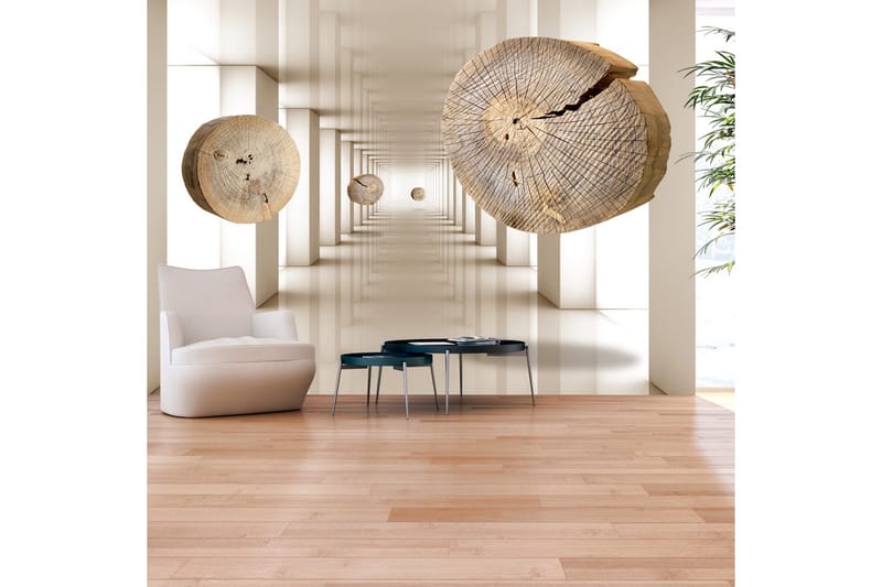 Fototapet Flying Discs Of Wood 200x140, Artgeist sp. z o. o.