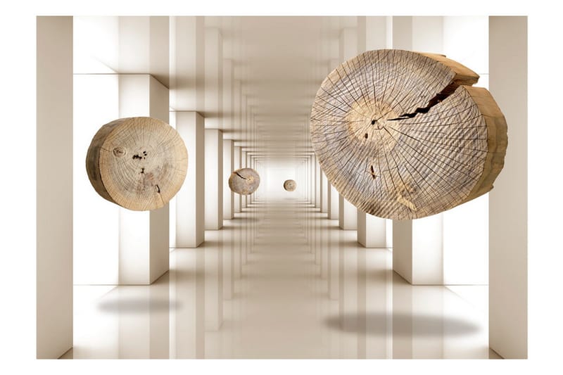 Fototapet Flying Discs Of Wood 200x140 - Artgeist sp. z o. o. - Inredning & dekor - Väggdekor - Tapeter & tapettillbehör - Fototapeter