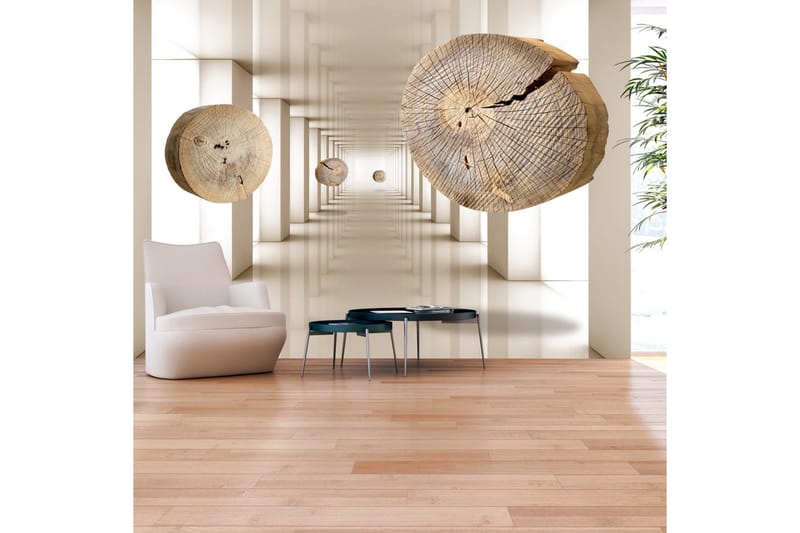 FOTOTAPET Flying Discs Of Wood 300x210 - Artgeist sp. z o. o. - Inredning & dekor - Väggdekor - Tapeter & tapettillbehör - Fototapeter